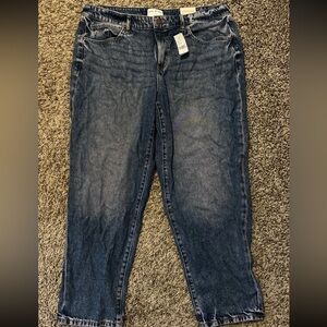 Lane Bryant Boyfriend Jeans (Size 14)
